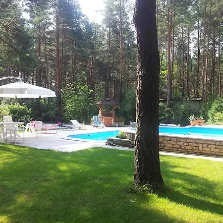 Villa Dom Pod Sosnami Traditional Wooden Dacha, Private Pool, Possibility Of Sleeping 10