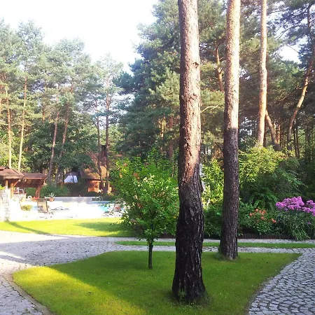 Dom Pod Sosnami Traditional Wooden Dacha, Private Pool, Possibility Of Sleeping 10 Villa Siewierz
